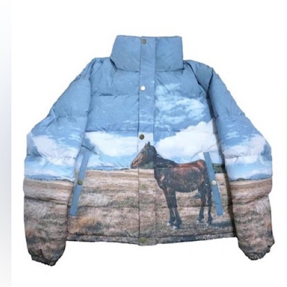 🔴SOLD🔴Profound puffer jacket